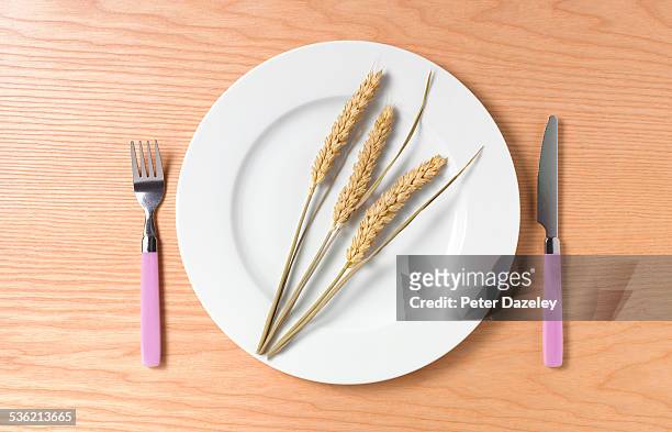 wheat intolerance coeliac disease - ear of wheat stock pictures, royalty-free photos & images