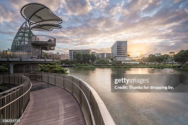 community neighborhood park - singapore hospital stock pictures, royalty-free photos & images