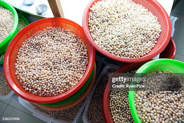 Pearl Sorting Grace Sample Photos and Premium High Res Pictures - Getty Images