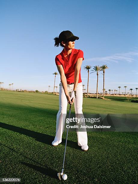 golfer holding golf club - joshua dalsimer stock pictures, royalty-free photos & images