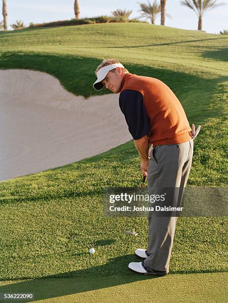 golfer holding golf club - dalsimer foto e immagini stock