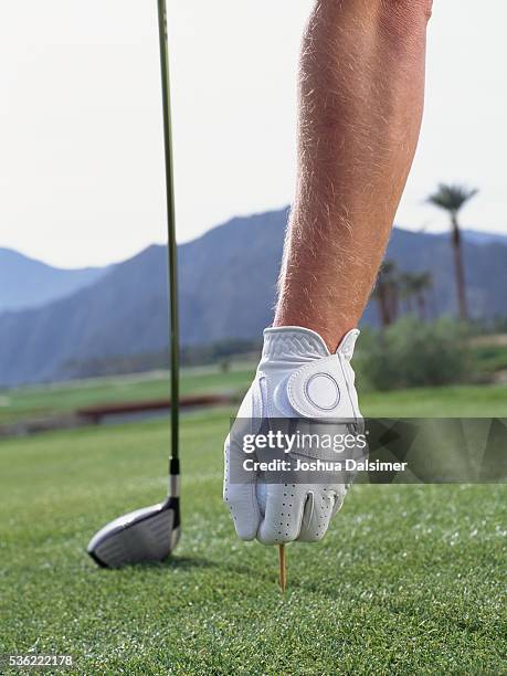 golfer placing golf ball on golf tee - dalsimer foto e immagini stock