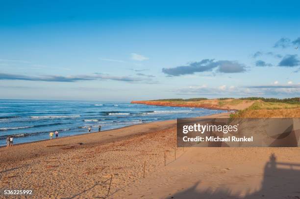 long sandy beach in the prince edward island national park, prince edward island, canada, north america - parc national de l'île du prince édouard photos et images de collection