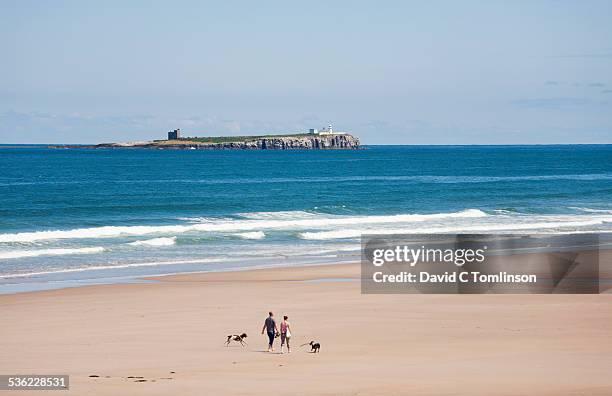 view along the beach, bamburgh - northumberland photos et images de collection
