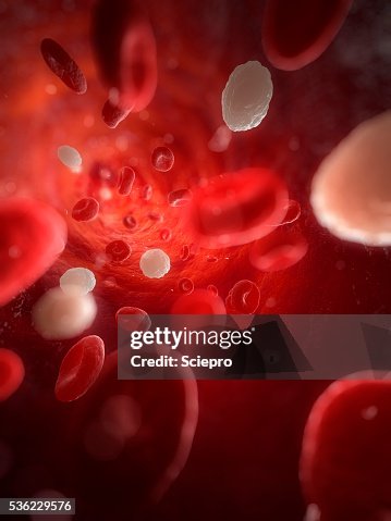 Bloodstream Visual Element Blood Stream Artwork High-Res Vector Graphic - Getty Images