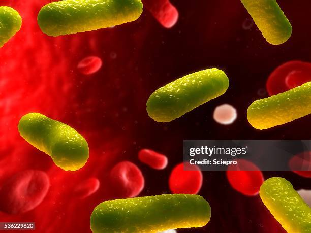 287 Bloodstream Infection Stock Photos, HighRes Pictures, and Images