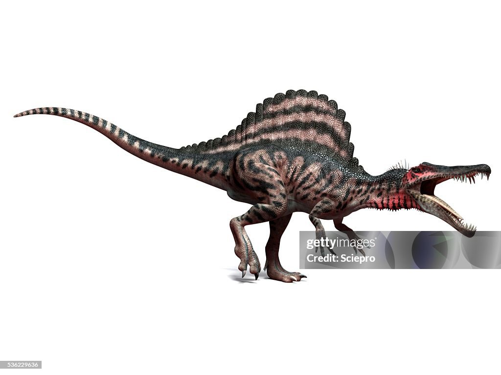 Spinosaurus dinosaur, artwork