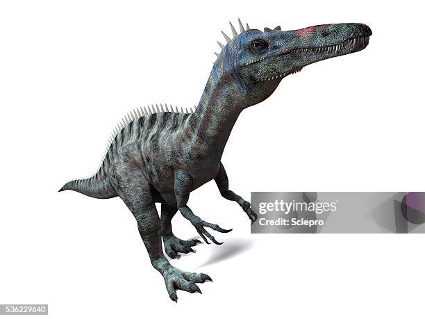 suchomimus dinosaur, artwork - suchomimus stock illustrations