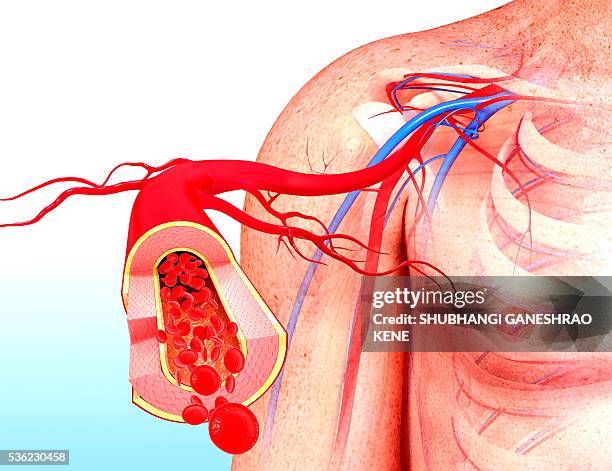 human artery, computer artwork. - single red blood cell stock pictures, royalty-free photos & images