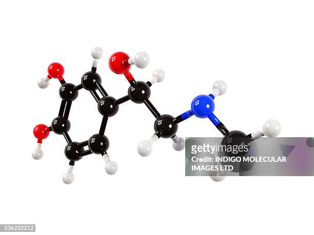 adrenaline hormone molecule. computer artwork showing the molecular structure of adrenaline (epinephrine). adrenaline is a hormone and neurotransmitter produced in the adrenal glands. - adrenaline stress stock illustrations