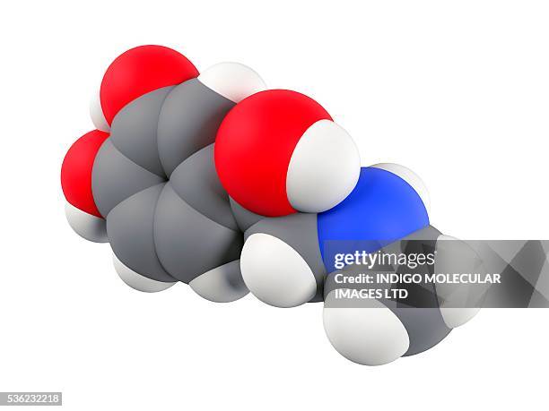 adrenaline hormone molecule. computer artwork showing the molecular structure of adrenaline (epinephrine). adrenaline is a hormone and neurotransmitter produced in the adrenal glands. - adrenaline stress stock illustrations