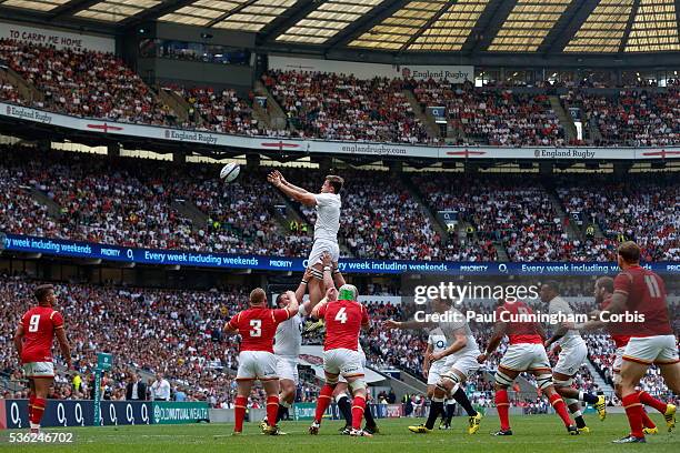 Jack Clifford of England wins line out ball during the Old Mutual Wealth Cup between England and Wales at Twickenham Stadium on May 29, 2016 in...