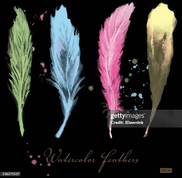 watercolor set of feathers pastel - plummage stock illustrations