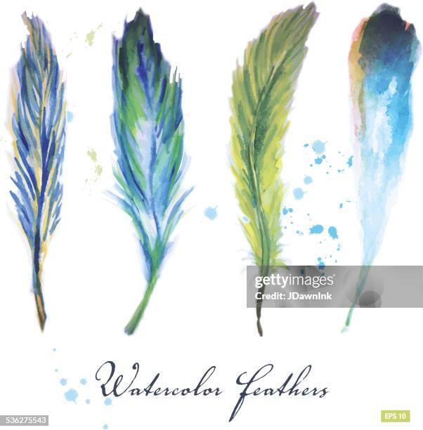 watercolor set of feathers - plummage stock illustrations