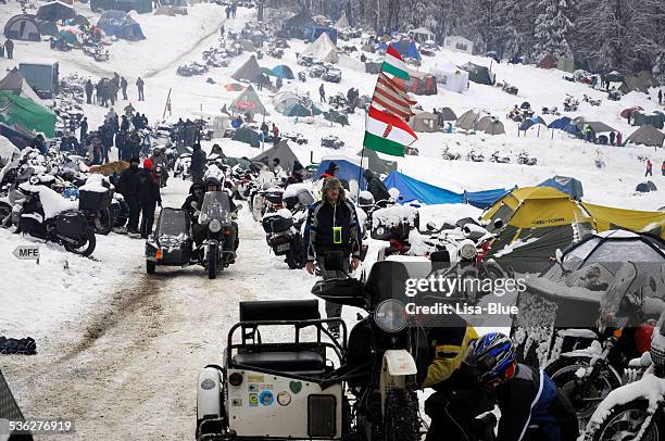 Elephant On Motorcycle Photos and Premium High Res Pictures - Getty Images