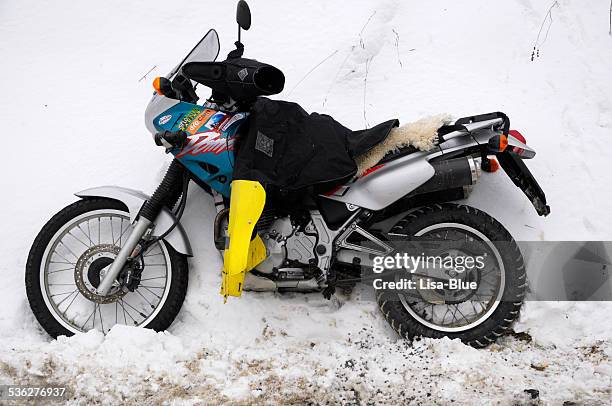 Elephant On Motorcycle Photos and Premium High Res Pictures - Getty Images