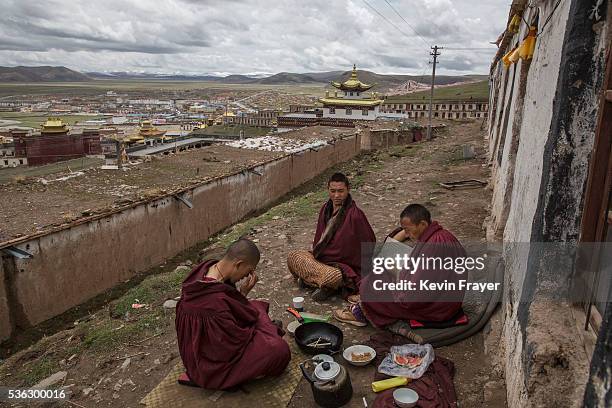 Tibetan Buddhist monks, who are prohibited from harvesting cordycep fungus, read prayer books on the 15th day of Saka Dawa, the holiest day of the...