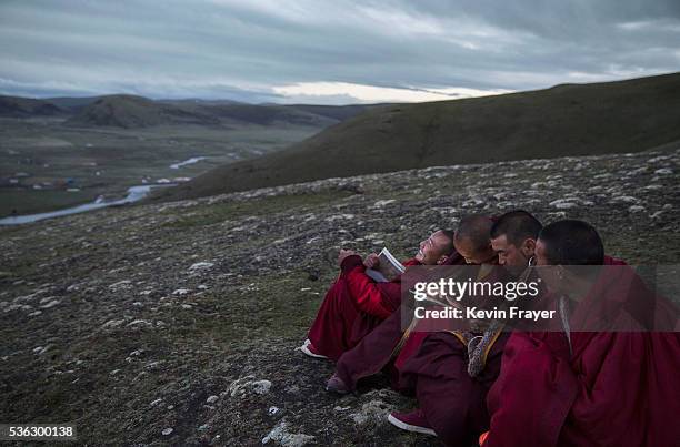Young Tibetan monks, who are prohibited from picking cordycep fungus, read religious text under a full moon on the 15th day of Saka Dawa, the holiest...