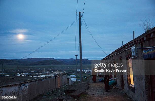 Young Tibetan monks, who are prohibited from picking crodycep fungus, walk under a full moon on the 15th day of Saka Dawa, the holiest day of the...