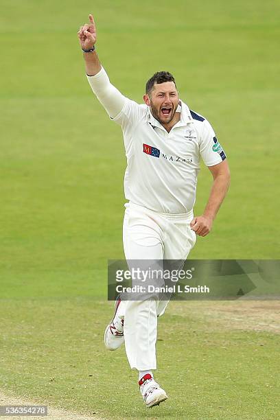 Tim Bresnan of Yorkshire celebrates the dismissal of Alviro Petersen of Lancashire dismissal during day four of the Specsavers County Championship:...