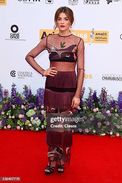 Mexican actress Irene Azuela attends the red carpet of Premios Ariel 2016 at Nacional Auditorium on May 17, 2016 in Mexico City, Mexico.