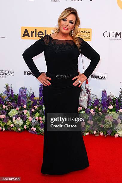 Mexican actress Sylvia Pasquel attends the red carpet of Premios Ariel 2016 at Nacional Auditorium on May 17, 2016 in Mexico City, Mexico.