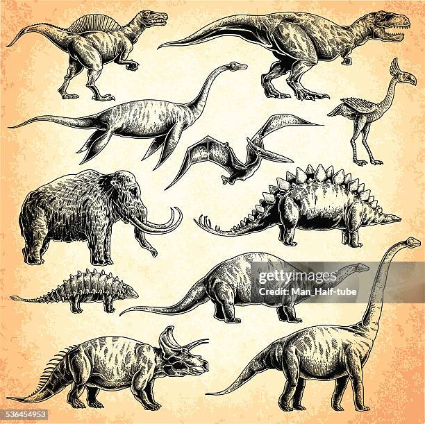 illustrazioni stock, clip art, cartoni animati e icone di tendenza di set di dinosauri - dinosauri