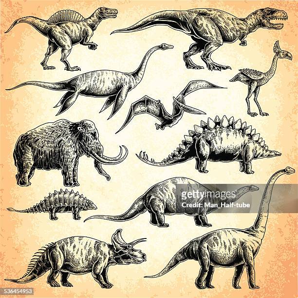 dinosaurs set - prehistoric era stock illustrations