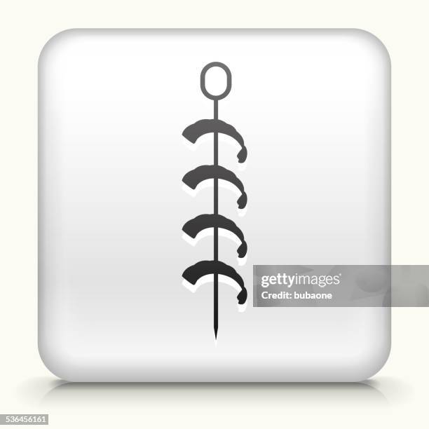 square button with shrimp kabobs - shrimp white background stock illustrations