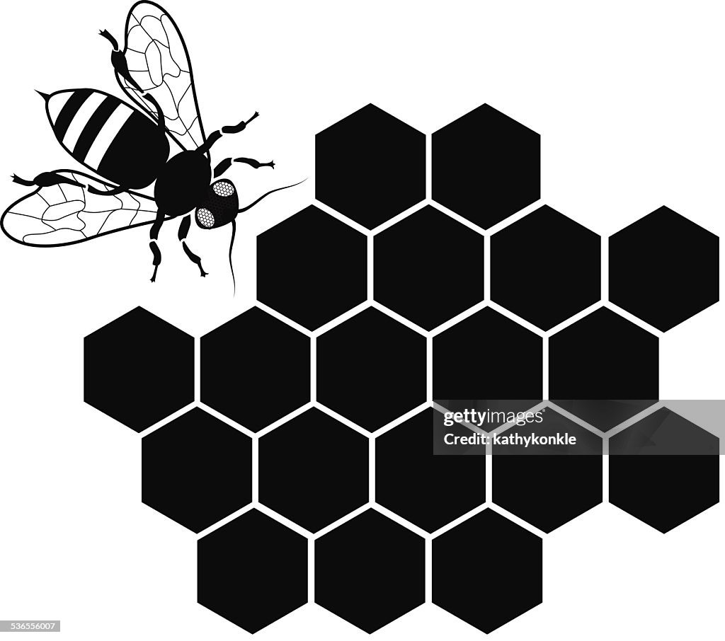 Bee Vector Black And White