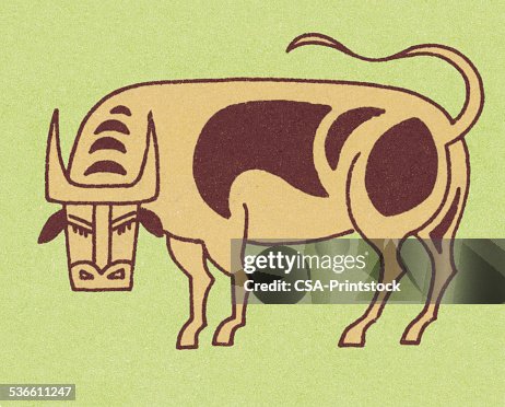 Cattle Cattle