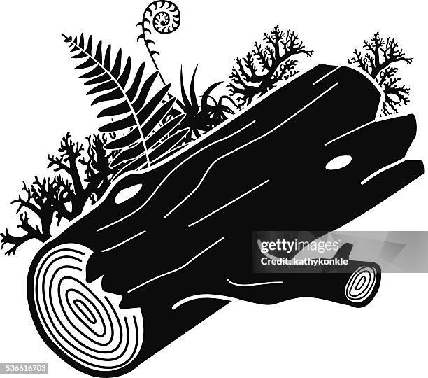 vector log with lichens and ferns - fallen tree stock illustrations