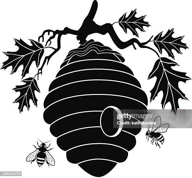 vector beehive hanging from branch - hive stock illustrations