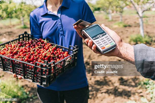 credit card payment on the farmer's market - country market stock pictures, royalty-free photos & images