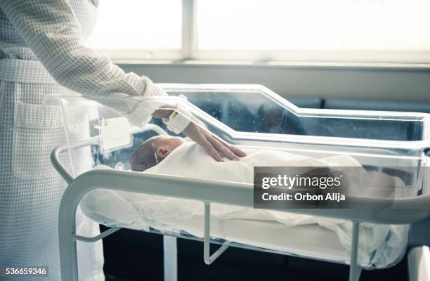 newborn baby boy asleep in hospital bassinet - baby crib stockfoto's en -beelden