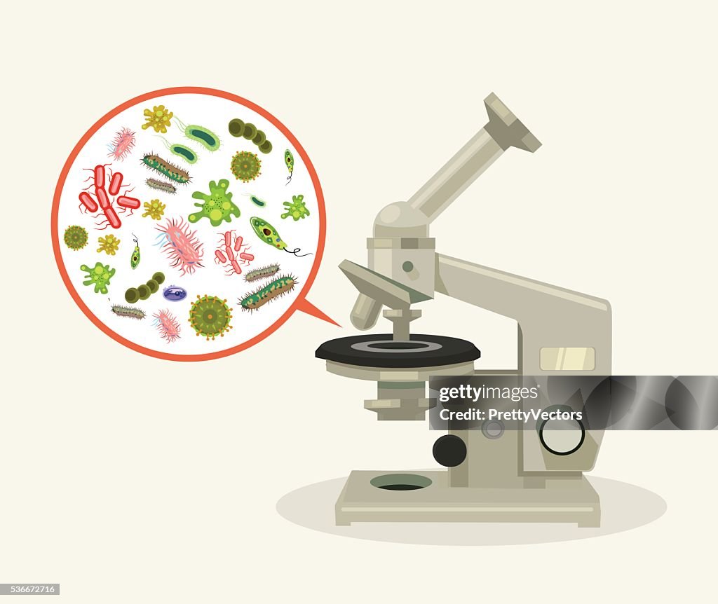 Microorganismos Bajo Microscopio Ilustración De Vectores De Dibujos  Animados Planos Ilustración de stock - Getty Images