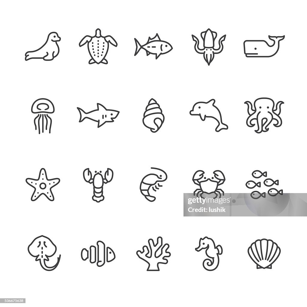 Sea Life And Ocean Animals Vector Icons High-Res Vector Graphic - Getty  Images
