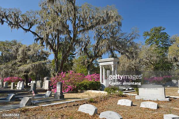 tombstones at bonaventure cemetery in savannah - bonaventure cemetery stock pictures, royalty-free photos & images