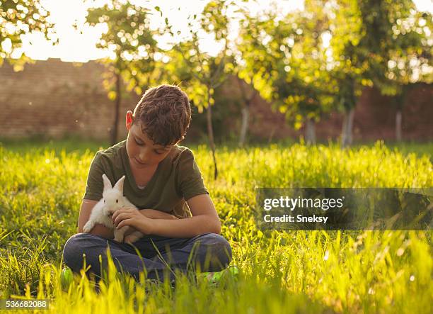Rabbit Boy Photos and Premium High Res Pictures - Getty Images