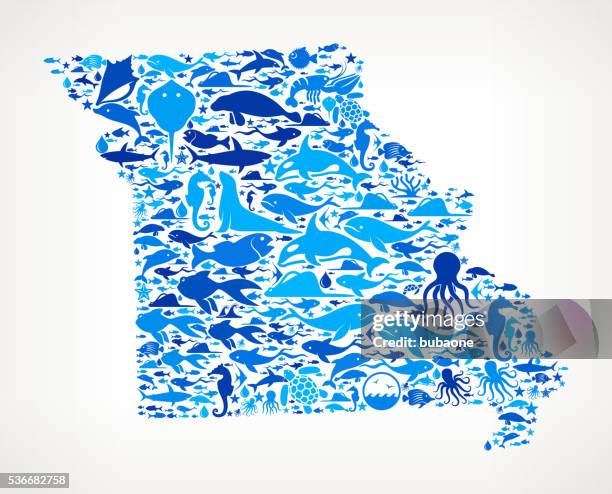 missouri ocean marine life blue icon pattern - missouri seal stock illustrations