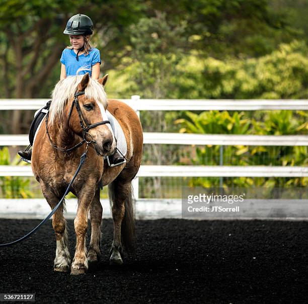 riding lessons - pony stock pictures, royalty-free photos & images