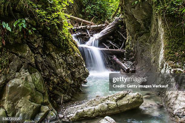 mountain stream - vorarlberg stockfoto's en -beelden