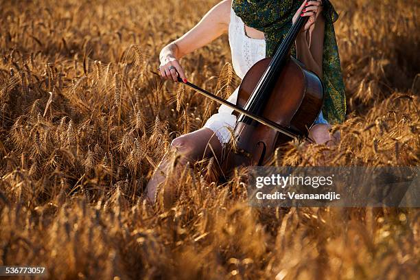 woman playing cello in wheat - cello stock pictures, royalty-free photos & images