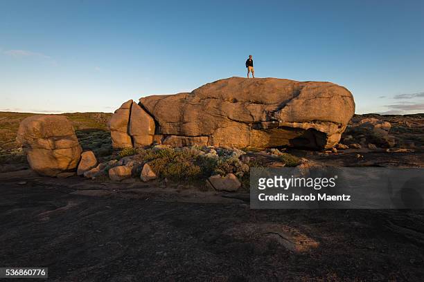 man on top of giant rock - boulder stock pictures, royalty-free photos & images