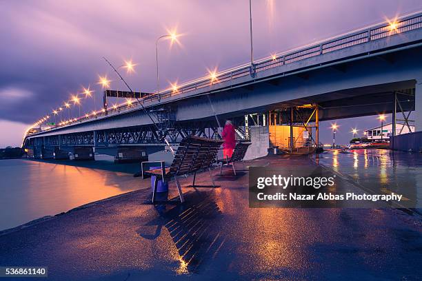 waitemata harbour - north shore city stock pictures, royalty-free photos & images