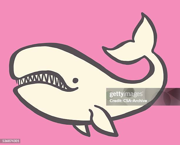 whale - whale vector stock illustrations