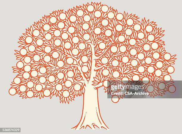 fruit tree - family tree stock illustrations