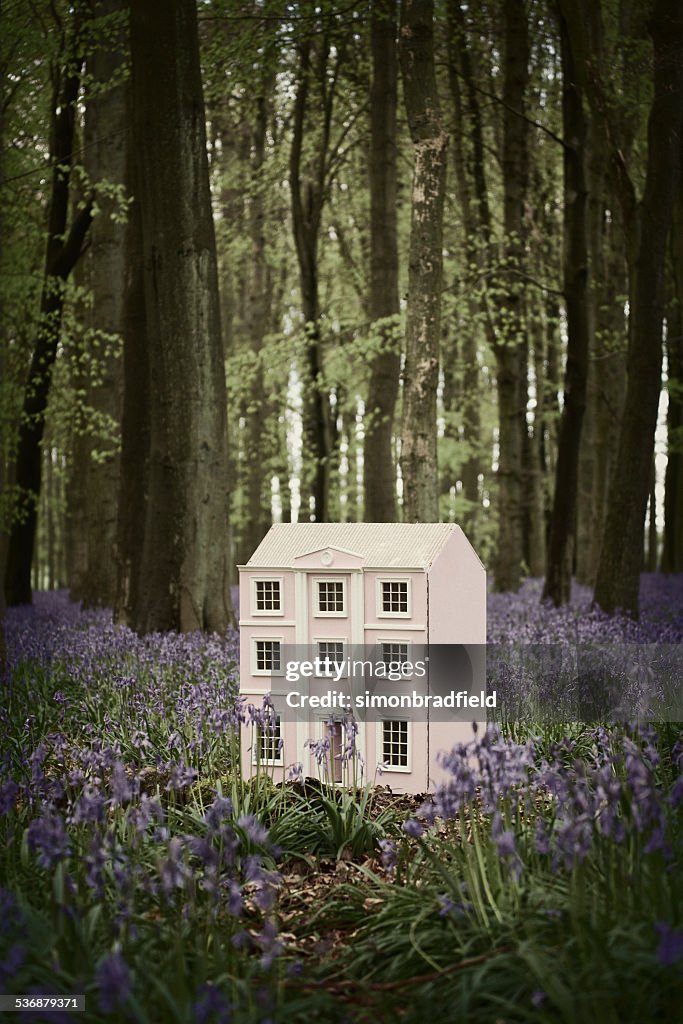 Doll's House In The Bluebell Wood