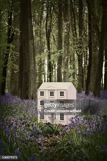 doll's house in the bluebell wood - dollhouse 個照片及圖片檔