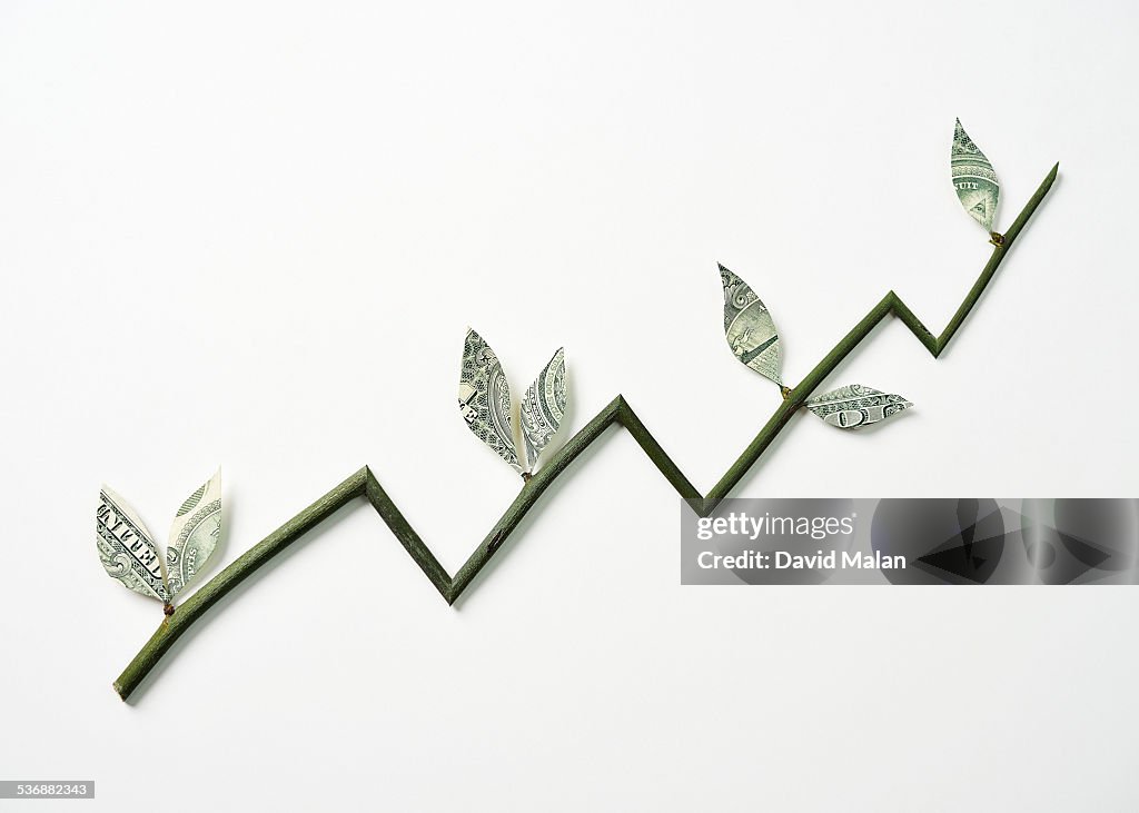 Branch with money leaves resembling a graph